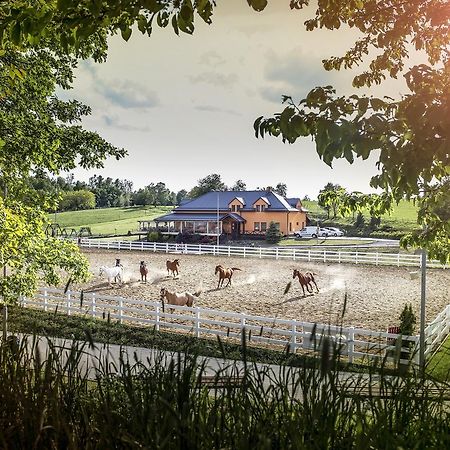 Hotel Horse Riding - Jezdecky Areal Trsice Екстер'єр фото