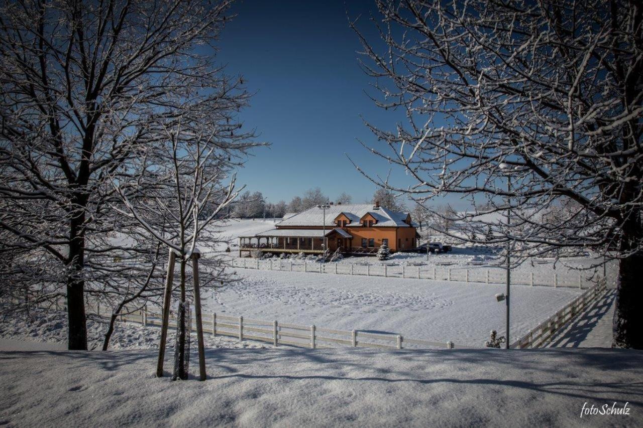 Hotel Horse Riding - Jezdecky Areal Trsice Екстер'єр фото