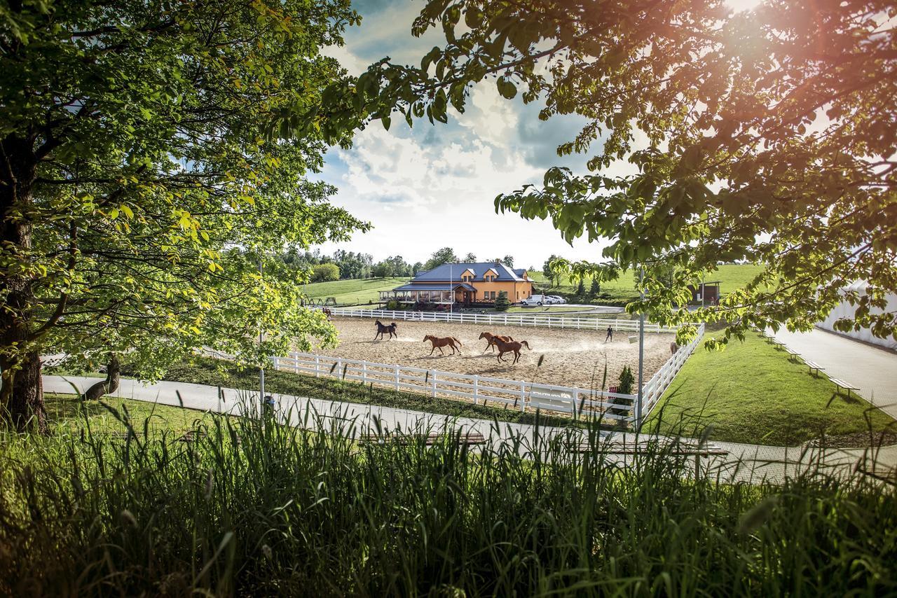 Hotel Horse Riding - Jezdecky Areal Trsice Екстер'єр фото