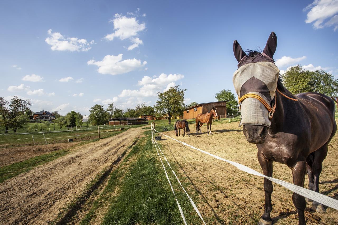 Hotel Horse Riding - Jezdecky Areal Trsice Екстер'єр фото