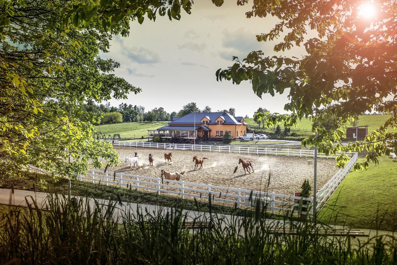 Hotel Horse Riding - Jezdecky Areal Trsice Екстер'єр фото